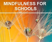 schools